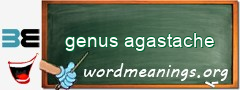WordMeaning blackboard for genus agastache